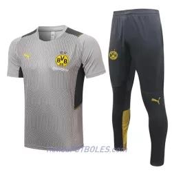 BVB Borussia Dortmund Camiseta De Entrenamiento Hombre 2022/23 Gris Claro BVB Borussia Dortmund Camiseta De Entrenamiento Hombre 2022/23 Gris Claro