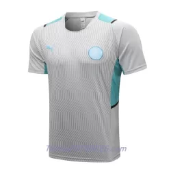 Manchester City Camiseta De Entrenamiento Hombre 2022/23 Gris Claro