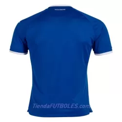 Camiseta TSG 1899 Hoffenheim Hombre Primera 2022/23