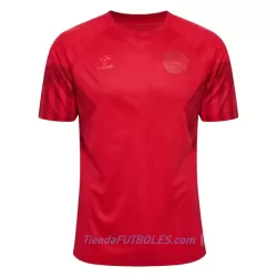 Camiseta Dinamarca Hombre Primera Mundial 2022