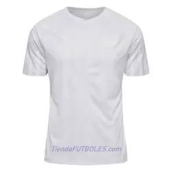 Camiseta Dinamarca Hombre Segunda Mundial 2022