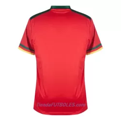 Camiseta Camerún Hombre Tercera Mundial 2022