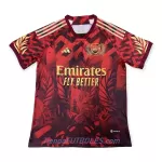 Camiseta ARSENAL Hombre 23/24 - Especial