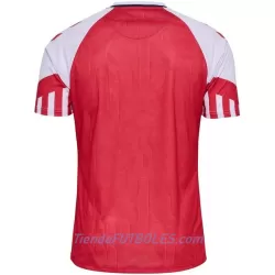 Camiseta Dinamarca Hombre Primera 2023