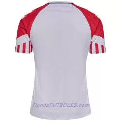 Camiseta Dinamarca Hombre Segunda 2023