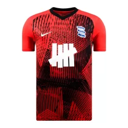 Camiseta Birmingham City Hombre Primera 23/24 Camiseta Birmingham City Hombre Primera 23/24