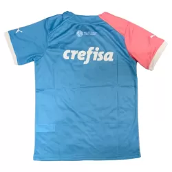 Camiseta Palmeiras Hombre 23/24 - Especial