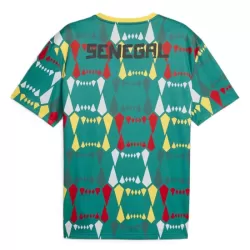 Camiseta Senegal Hombre Primera 23/24