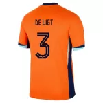 Camiseta Países Bajos De Ligt 3 Hombre Primera Euro 2024