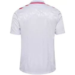 Camiseta Dinamarca Hombre Segunda Euro 2024