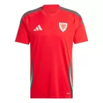 Camiseta Gales Hombre Primera 2024