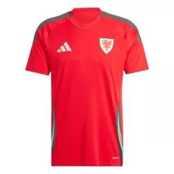 Camiseta Gales Hombre Primera 2024