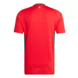 Camiseta Gales Hombre Primera 2024