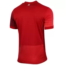 Camiseta Polonia Hombre Segunda Euro 2024