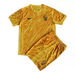 Conjunto Portero Francia Niño Euro 2024 Amarilla Conjunto Portero Francia Niño Euro 2024 Amarilla