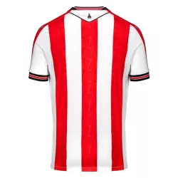 Camiseta Stoke City Hombre Primera 24/25
