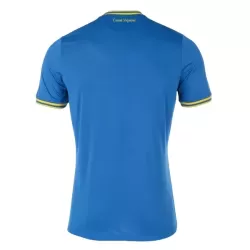Camiseta Ucrania Hombre Segunda Euro 2024
