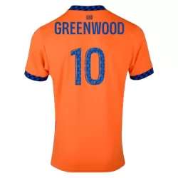 Camiseta Olympique de Marseille Greenwood 10 Hombre Tercera 24/25 Camiseta Olympique de Marseille Greenwood 10 Hombre Tercera 24/25