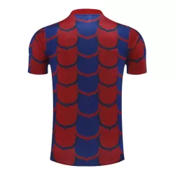 Camiseta Barcelona Pre-Match Hombre 24/25