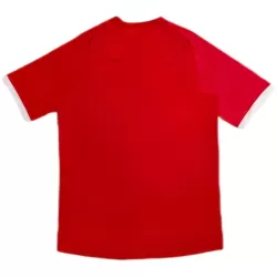 Camiseta Inglaterra 2010 Hombre Segunda Retro