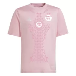 Camiseta Nigeria Hombre 2024 Rosa - Especial Camiseta Nigeria Hombre 2024 Rosa - Especial