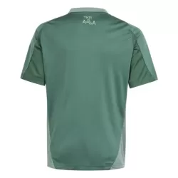 Camiseta Nigeria Hombre 2024 Verde - Especial