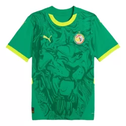 Camiseta Senegal Hombre Segunda 24/25