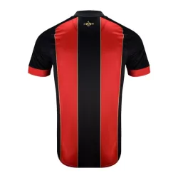 Camiseta AFC Bournemouth Aniversario Hombre 24/25