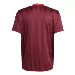Camiseta Bayern de Múnich Adidas Terrace Icon Hombre 24/25