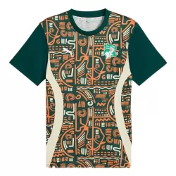 Camiseta Costa de Marfil Pre-Match Hombre 24/25 Camiseta Costa de Marfil Pre-Match Hombre 24/25