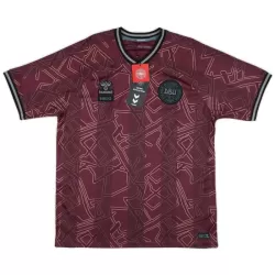 Camiseta Dinamarca Hombre 24/25 - Especial