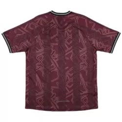 Camiseta Dinamarca Hombre 24/25 - Especial