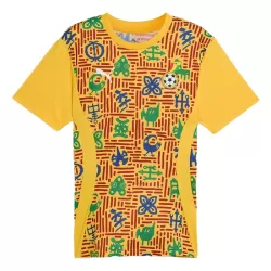 Camiseta Ghana Pre-Match Hombre 24/25 Camiseta Ghana Pre-Match Hombre 24/25
