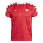 Camiseta Manchester United Terrace Icon Hombre 24/25