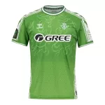 Camiseta Real Betis Pre-Match Hombre 24/25