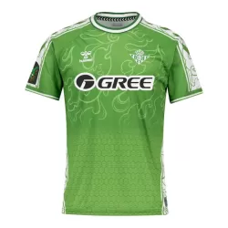 Camiseta Real Betis Pre-Match Hombre 24/25