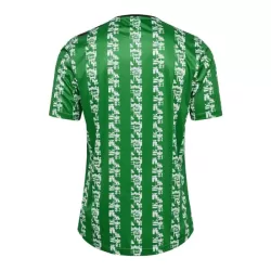 Camiseta Real Betis Pre-Match Hombre 24/25 Verde