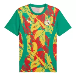 Camiseta Senegal Pre-Match Hombre 24/25