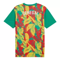 Camiseta Senegal Pre-Match Hombre 24/25