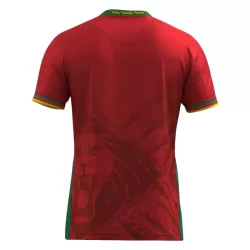 Camiseta Camerún Hombre Segunda 2025