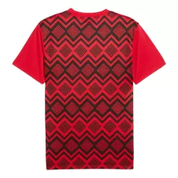 Camiseta Egipto Pre-Match Hombre 2025