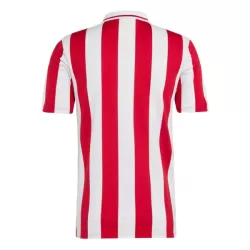 Camiseta Olympiakos 100th Aniversario Hombre 24/25