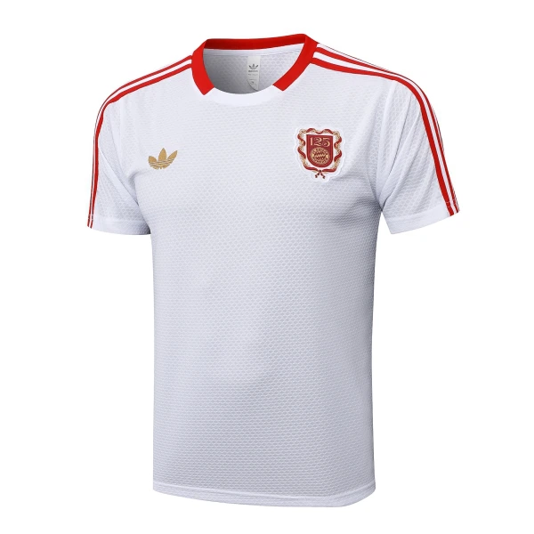 Camiseta FC Bayern de Múnich Aniversario Hombre 24/25 Camiseta FC Bayern de Múnich Aniversario Hombre 24/25