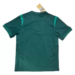 Camiseta Nigeria Hombre Primera 25/26