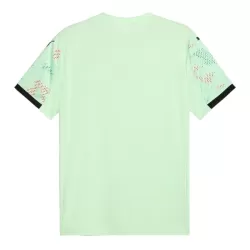 Camiseta Portugal Hombre Segunda 2025