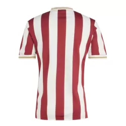 Camiseta FC Nurnberg Aniversario Hombre 24/25