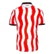 Camiseta Stoke City Hombre Primera 25/26