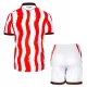 Conjunto Stoke City Niño Primera 25/26
