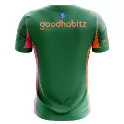 Camiseta Portero PSV Eindhoven Hombre 25/26 Verde