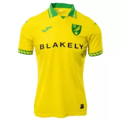 Camiseta Norwich City Hombre Primera 25/26